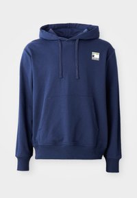 MOUNTAIN LOGO RELAXED HOODIE - Hanorac - summit navy