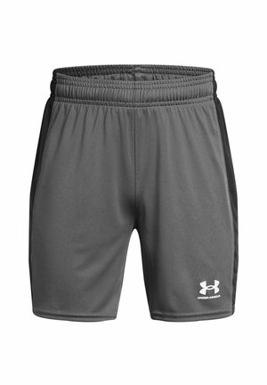 CHALLENGER KNIT - Sports shorts - castlerock