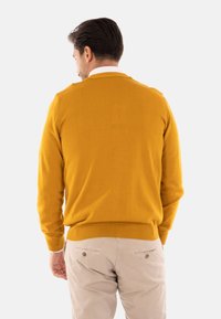Maglione giallo senape con una trama liscia, scollo rotondo e polsini e orlo a costine, indossato sopra pantaloni chiari.