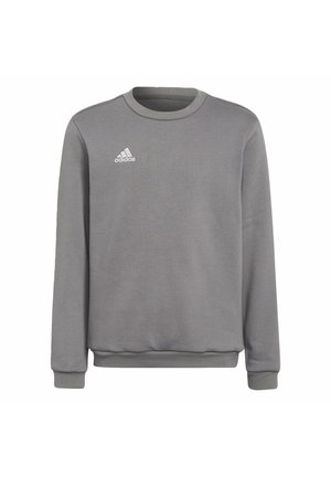 Gray sweatshirt made of cotton blend, featuring a round neck, long sleeves, ribbed cuffs, and a white Adidas logo on the chest.