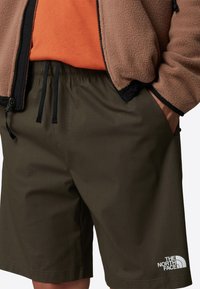The North Face LIMESTONE - Shorts - new taupe green