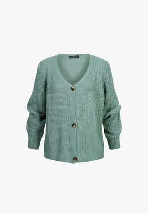 Mintgrüner, gestrickter Cardigan mit tiefem V-Ausschnitt, ausgestattet mit drei großen braunen Knöpfen und Ballonärmeln für zusätzliche Textur.