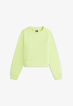 Sweat-shirt court vert clair à manches longues, poignets côtelés, avec un petit logo brodé sur la poitrine.