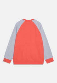 Felpa corallo con maniche raglan blu, polsini e colletto a costine. Presenta un dettaglio testuale sulla manica sinistra, realizzata in morbido tessuto misto cotone.