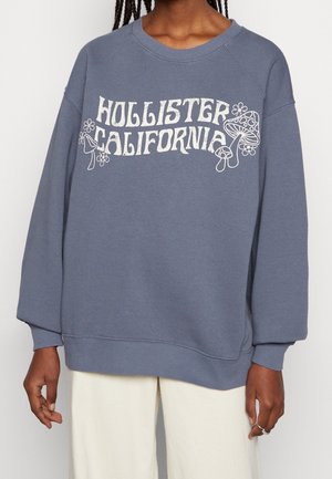 Blauer Sweatshirt mit weißem "Hollister California" Text und Pilz- und Blumendesigns, getragen von einer Person mit dunkler Haut und geflochtenen Haaren.