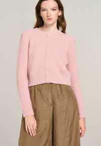 Rosa gestrickte Strickjacke mit langen Ärmeln, runder Halslinie und fünf Knöpfen. Weicher Stoff, kürzerer Schnitt, kombiniert mit einem braunen Rock.