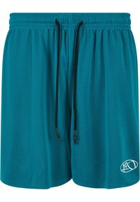 Turkise mesh shorts med svart dragsko i midjen, med små ventilasjonsåpninger og en hvit logo nederst til høyre.