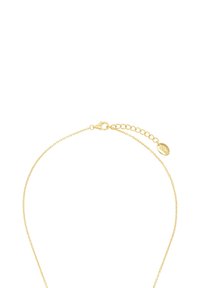 Collana dorata con una delicata catena, chiusura a granchio e un prolungamento regolabile con un piccolo tag ovale. Texture liscia e lucida.
