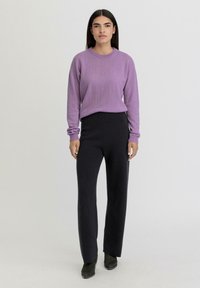 hessnatur RELAXED - Broek - schwarz