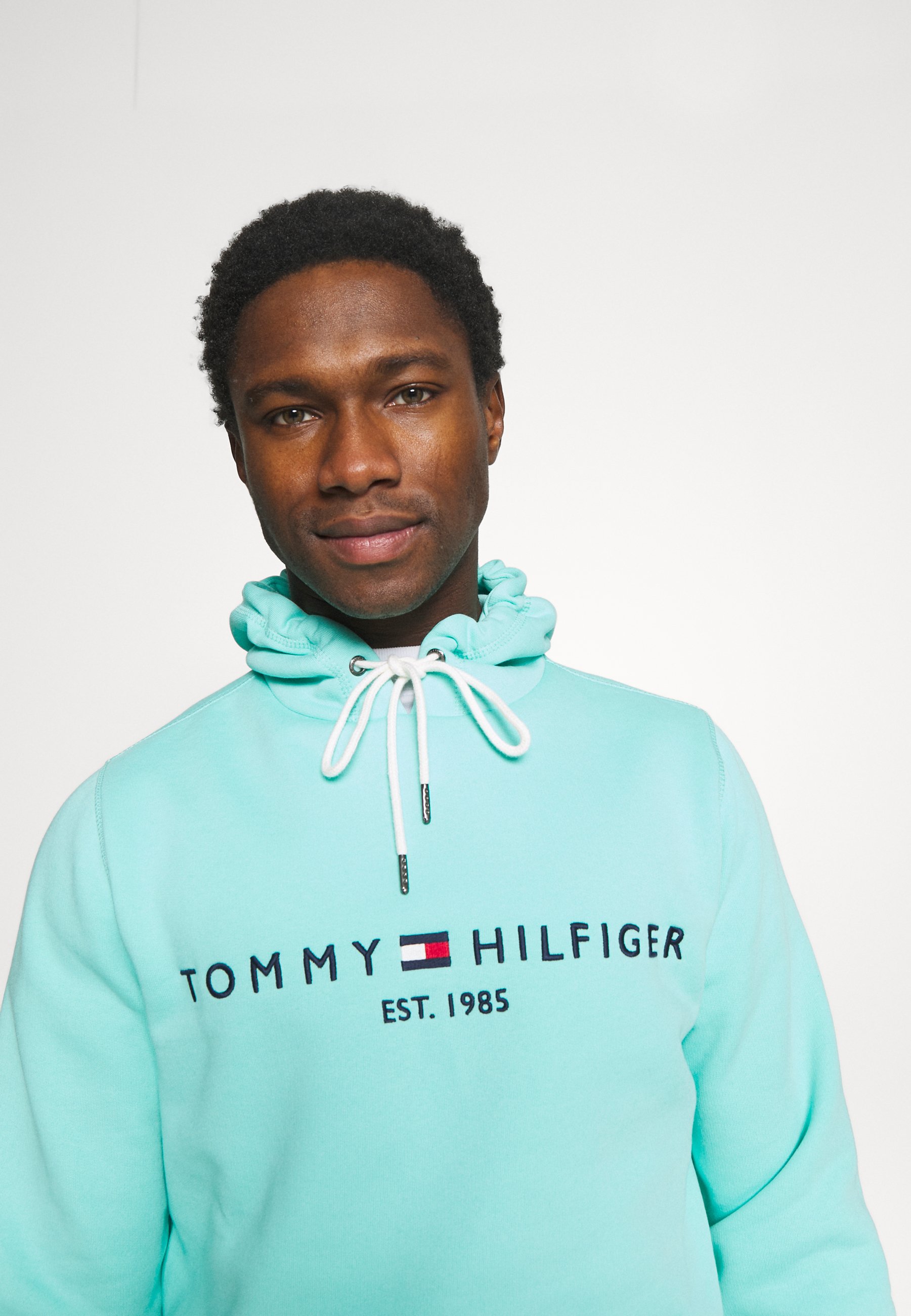 tommy hilfiger teal hoodie