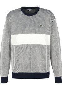 Gestreifter Strickpullover in Marineblau und Weiß, mit einem auffälligen weißen horizontalen Band, auf dem der eingeprägte Text "LACOSTE" und ein kleines Logo zu sehen sind.