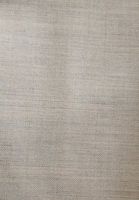 Next REGULAR FIT TAILORED FIT  - Pantalones - stone