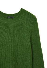 Grüner, gestrickter Pullover mit rundem Halsausschnitt, strukturiertem Material und Raglanärmel. Etikett am Kragen sichtbar.