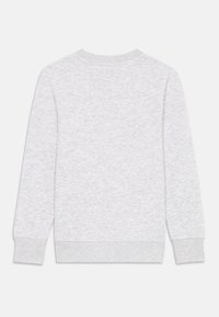 Lys grå hettegenser med rund hals, lange ermer, og ribbekant på ermer og nederkant. Stoffet har en myk, jevn tekstur.