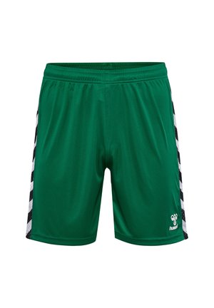 Gröna sportshorts i smidigt tyg. Har svarta och vita randiga sidor och en logotyp på främre nedre högra benet.