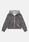 LEO - Sweatshirt com capuz - grey