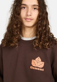Felpa marrone con colletto a coste, caratterizzata da un logo a foglia arancione e la scritta "Element" stampata sotto. Tessuto morbido con design casual.
