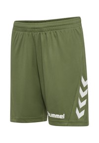 Olivgröna sportshorts i lätt tyg, med en vit logotyp och ett chevronmönster på sidan. Elastisk midja för komfort.