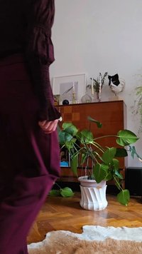 Pessoa vestida de roxo escuro está perto de uma grande planta em vaso com folhas verdes, numa sala com chão de madeira e um aparador.