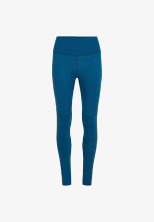 Teal, high-waisted leggings in a smooth, stretchy material. Features knee panels and contrasting detailing along the sides.