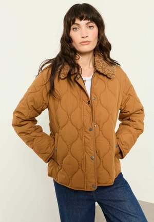 FatFace, QUILT JACKET - Winter jacket - tan brown