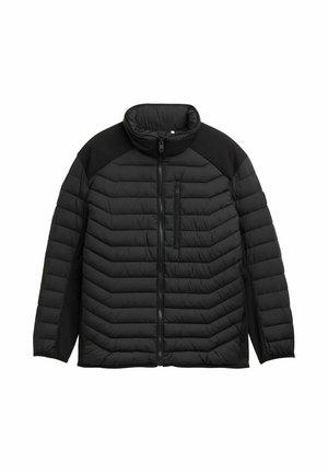 TOM TAILOR, PLUS SIZE - HYBRID LIGHTWEIGHT STEPP - Winterjacke - black