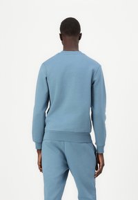 Felpa azzurra chiara realizzata in tessuto misto cotone. Presenta un colletto a girocollo, maniche lunghe, polsini e orlo a costine, con una texture liscia.