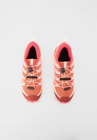 Salomon XA PRO V8 UNISEX - Trekingové boty - ginger/almond milk/rouge red