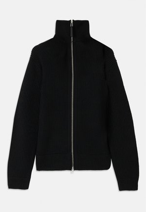 Black ribbed knit sweater with high collar, full zipper front, and fitted cuffs. Textured surface and streamlined shape.