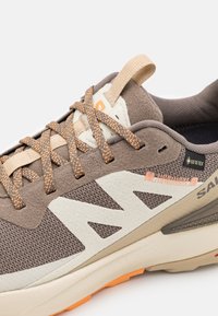 Salomon ELIXIR ACTIV GTX  - Obuća za pješačenje - falcon/white pepper/papaya