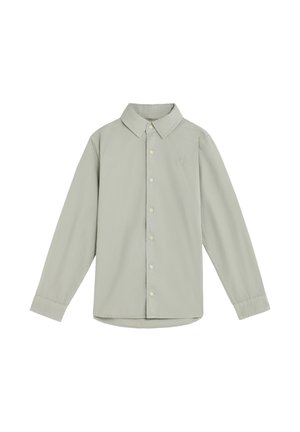 Camisa de botones de manga larga verde claro con un cuello clásico, puños de camisa y un pequeño detalle bordado en el pecho. Material de algodón.