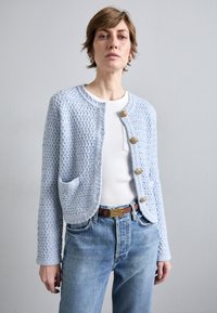 Vanessa Bruno DORINA - Kardigan - neptune
