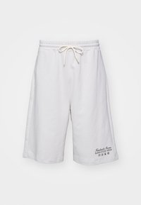 BERMUDA - Pantaloni sportivi - ice grey