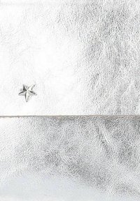 Manfield Clutch - silberfarben