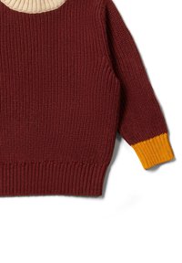 Little Green Radicals FROM ONE TO ANOTHER - Jumper - red