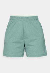 Pantalones cortos deportivos de color verde claro, hechos de un tejido texturizado, con una cintura elástica y un pequeño logo en la parte inferior derecha.