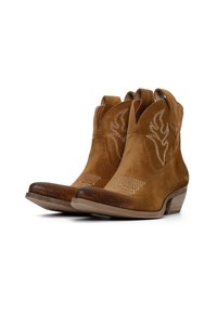 Stivali da cowboy in suede marrone con cuciture decorative, punta affusolata e tacco basso a blocco. Il design presenta ritagli sulla gamba.