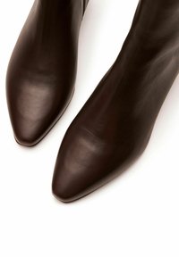 Bottes courtes en cuir marron avec un bout pointu, présentant une texture lisse et une silhouette élégante. Aucun accessoire ou motif visible.
