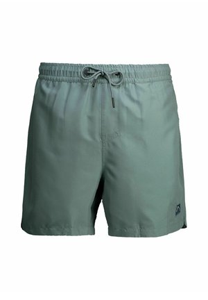 Herre grønne badeshorts med elastik i taljen og snor, lille logo på nederste venstre ben.
