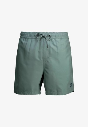 Herre grønne badeshorts med elastik i taljen og snor, lille logo på nederste venstre ben.