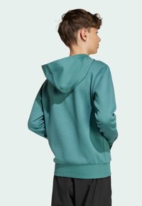 Teal hoodie med ribbade muddar och nederkant, med en känguruficka och mjukt, texturerat tyg. Vy från baksidan.