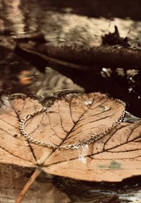 Silberne Kettenarmband liegt auf einem großen, braunen Blatt, teilweise im Wasser, mit sichtbaren Wellen und Reflexionen.