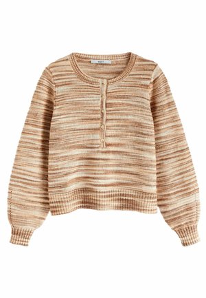 REGULAR FIT - Svetrík - neutral brown