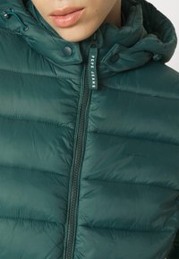 Pepe Jeans Abrigo de invierno - dark green