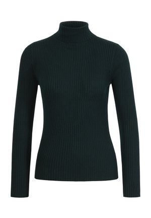 Ribota turtlenecka džemperis tumši zaļā krāsā. Tam ir garas piedurknes un cieši pieguļošs siluets ar teksturētu apdari. Nav redzamas zīmolu vai rotājumu.