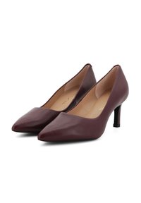 Décolleté in pelle bordeaux con tacco alto, punta allungata, texture liscia e una leggera lucentezza. Presentano un sottile tacco nero per un contrasto aggiuntivo.