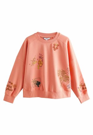 Next REGULAR FIT - HEAVY  EMBROIDERY  FOOD AND  GRAPHIC  - Sweatshirt - mottled orange