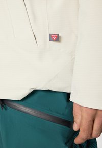 Adidas Terrex Jachetă schi - alumina