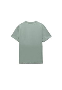 Camiseta de algodón verde claro con un corte relajado, mangas cortas y cuello redondo. Espalda lisa sin patrones ni adornos.