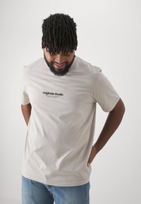 Jack & Jones JORVESTERBRO TEE CREW NECK - Camiseta estampada - moonbeam